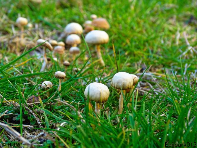 Leijpark013 11 &amp; 12 &amp; 13 &amp; 14 oktober 2022 