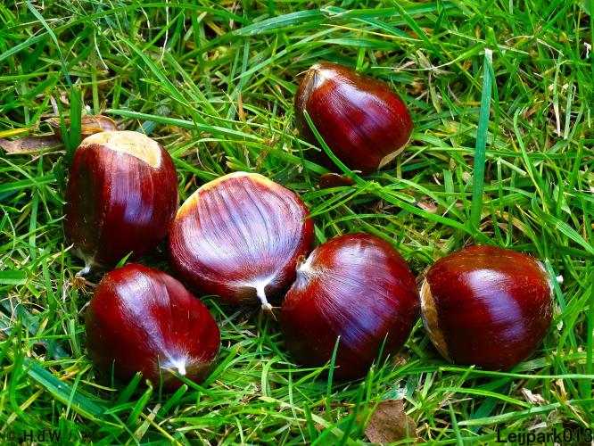 Leijpark013 11 &amp; 12 &amp; 13 &amp; 14 oktober 2022 