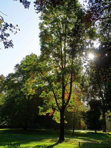 Leijpark013 11 &amp; 12 &amp; 13 &amp; 14 oktober 2022 