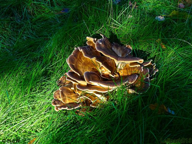 Leijpark013 11 &amp; 12 &amp; 13 &amp; 14 oktober 2022 