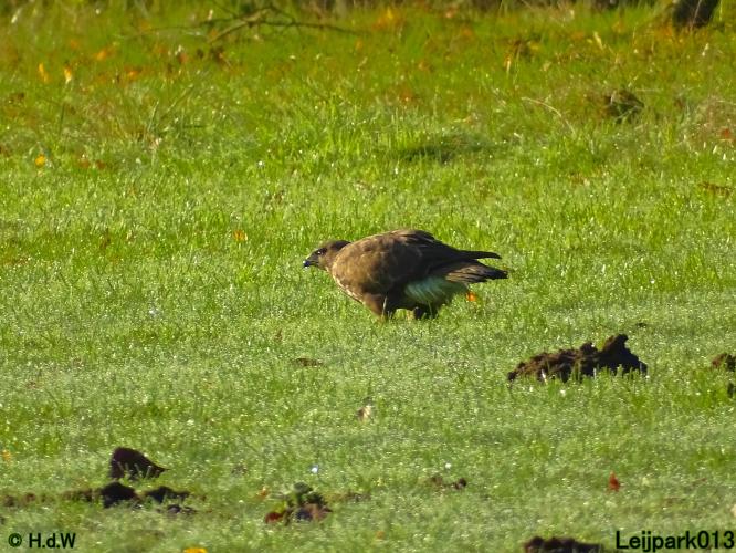 Leijpark013 15 &amp; 16 &amp; 17 &amp; 18 oktober 2022 