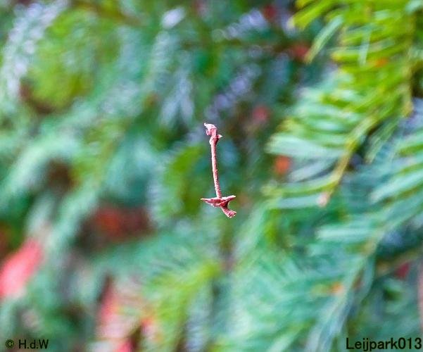 Leijpark013 15 &amp; 16 &amp; 17 &amp; 18 oktober 2022 