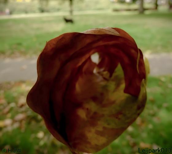 Leijpark013 15 &amp; 16 &amp; 17 &amp; 18 oktober 2022 