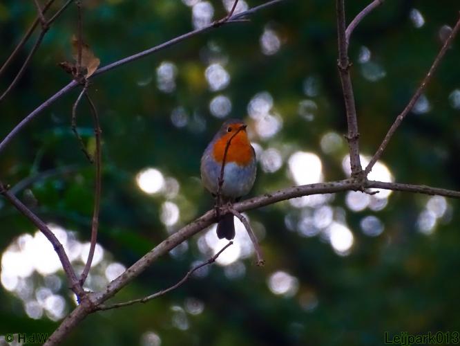 Leijpark013 15 &amp; 16 &amp; 17 &amp; 18 oktober 2022 