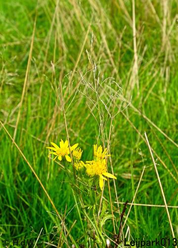 Leijpark013 15 &amp; 16 &amp; 17 &amp; 18 oktober 2022 