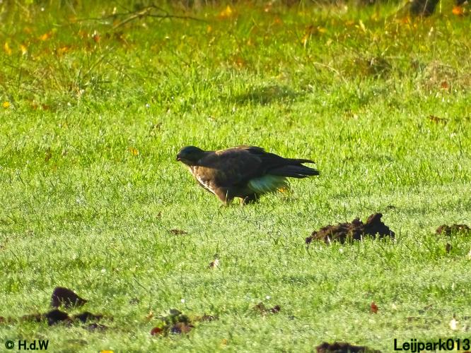 Leijpark013 15 &amp; 16 &amp; 17 &amp; 18 oktober 2022 