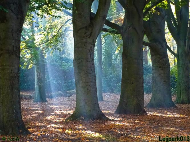 Leijpark013 15 &amp; 16 &amp; 17 &amp; 18 oktober 2022 