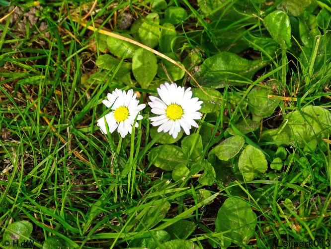 Leijpark013 15 &amp; 16 &amp; 17 &amp; 18 oktober 2022 