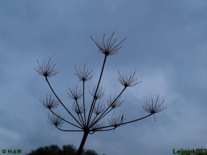 Leijpark013 15 &amp; 16 &amp; 17 &amp; 18 oktober 2022 