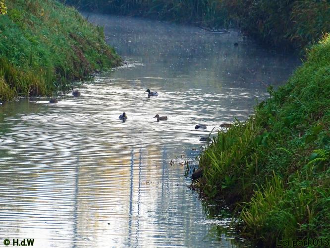 Leijpark013 15 &amp; 16 &amp; 17 &amp; 18 oktober 2022 