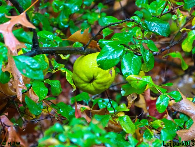 Leijpark013 15 &amp; 16 &amp; 17 &amp; 18 oktober 2022 