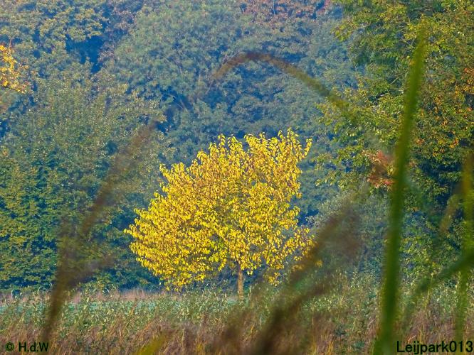 Leijpark013 15 &amp; 16 &amp; 17 &amp; 18 oktober 2022 