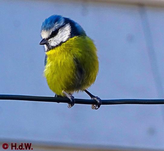 2 november 2022 op onze plaats 