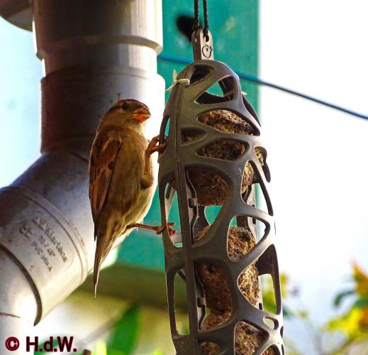 2 november 2022 op onze plaats 