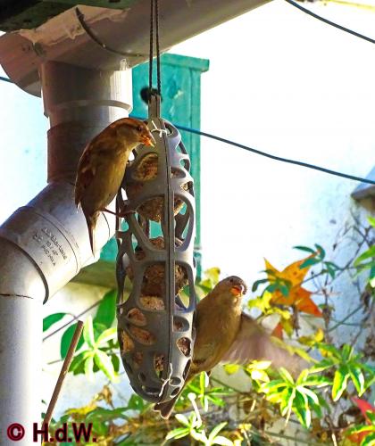 2 november 2022 op onze plaats 