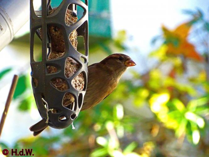 2 november 2022 op onze plaats 