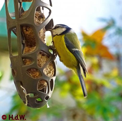 2 november 2022 op onze plaats 