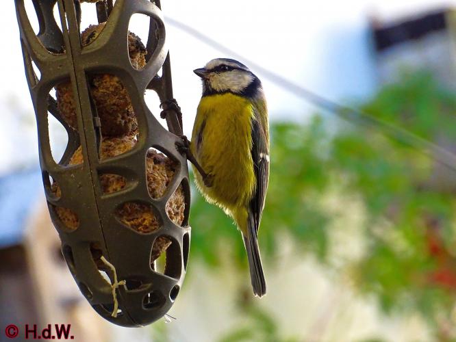 2 november 2022 op onze plaats 