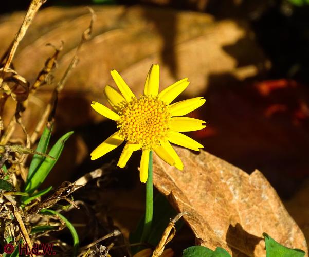 2 november 2022 op onze plaats 