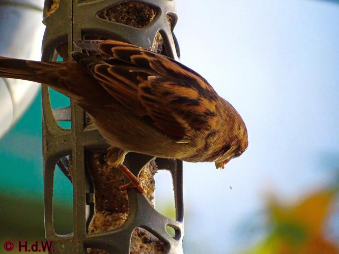 2 november 2022 op onze plaats 