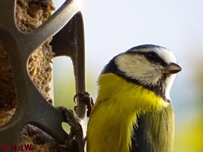 2 november 2022 op onze plaats 