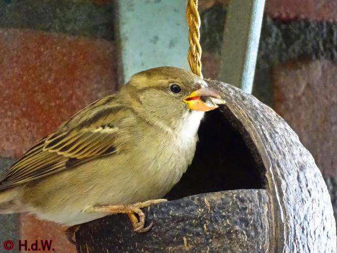 2 november 2022 op onze plaats 