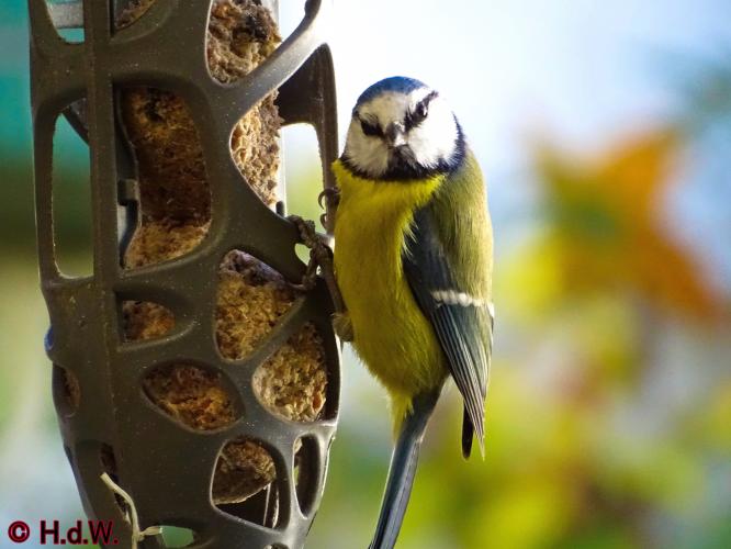 2 november 2022 op onze plaats 