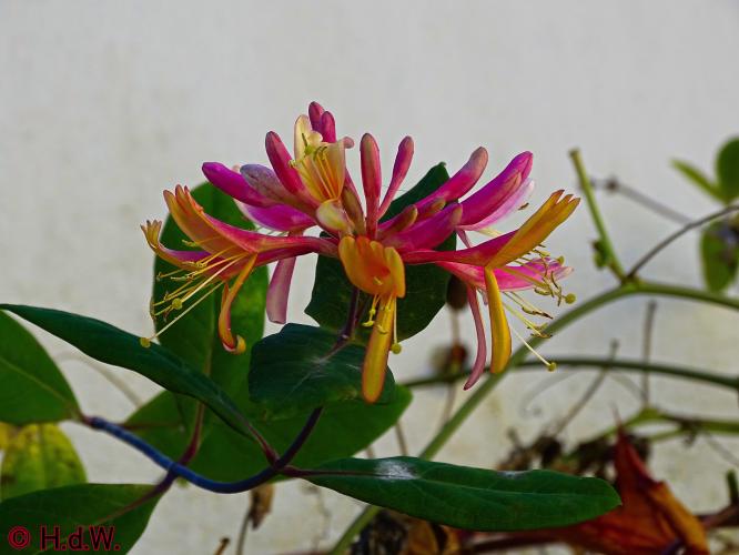 2 november 2022 op onze plaats 