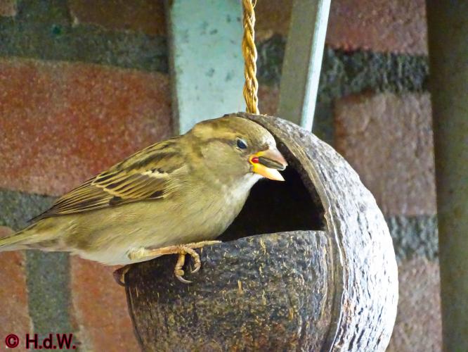 2 november 2022 op onze plaats 