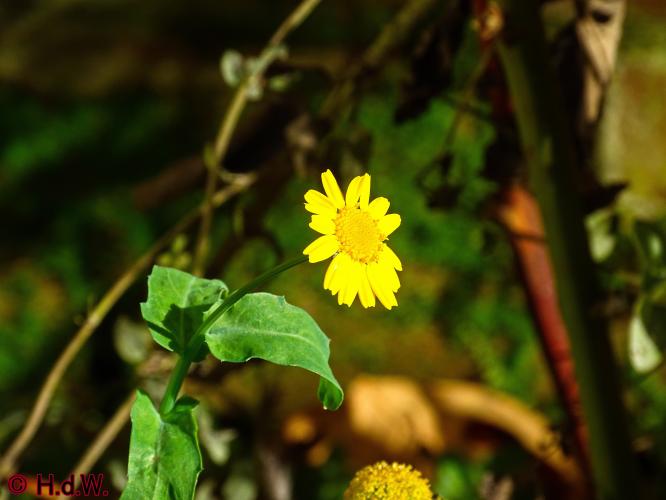 2 november 2022 op onze plaats 