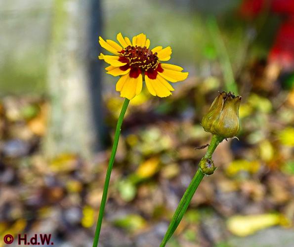 2 november 2022 op onze plaats 