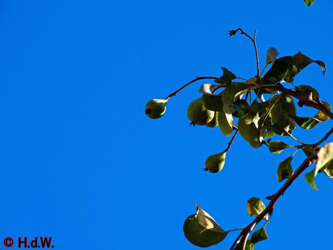 2 november 2022 op onze plaats 