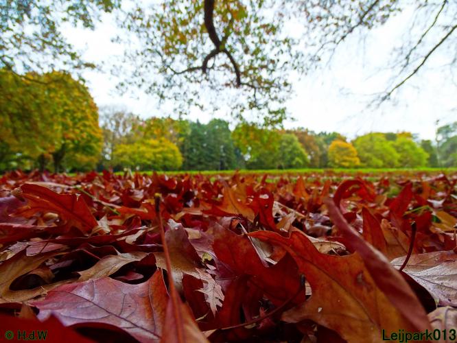 Leijpark013 31 oktober &amp; 1 &amp; 2 november 2022