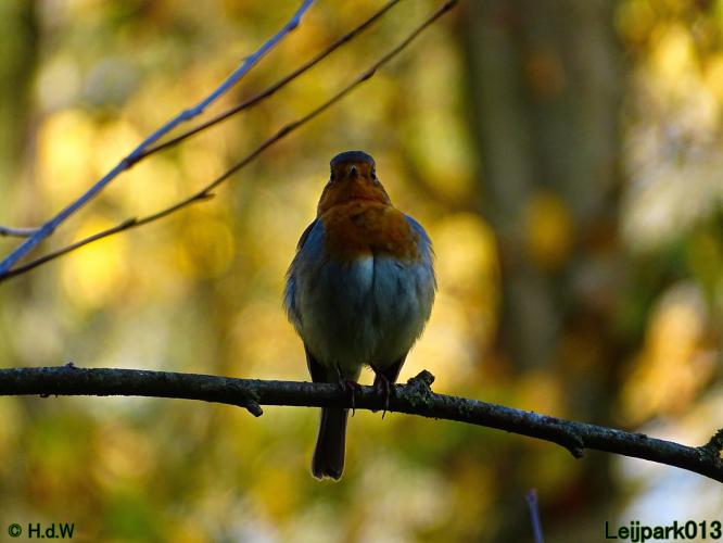 Leijpark013 31 oktober &amp; 1 &amp; 2 november 2022