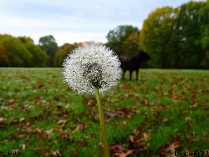 Leijpark013 31 oktober &amp; 1 &amp; 2 november 2022