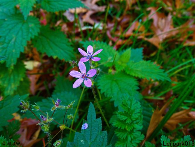 Leijpark013 31 oktober &amp; 1 &amp; 2 november 2022