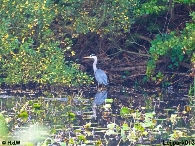 Leijpark013 31 oktober &amp; 1 &amp; 2 november 2022