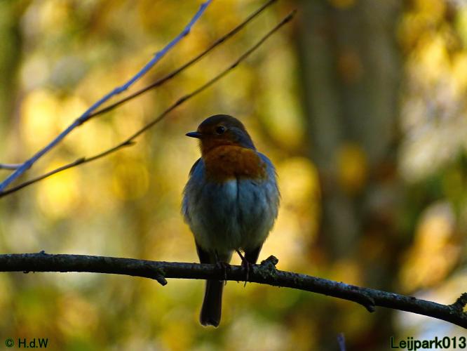 Leijpark013 31 oktober &amp; 1 &amp; 2 november 2022