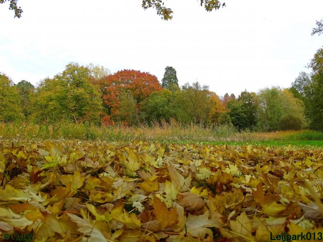 Leijpark013 31 oktober &amp; 1 &amp; 2 november 2022