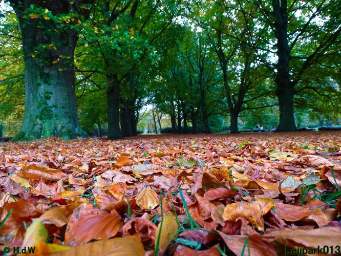 Leijpark013 31 oktober &amp; 1 &amp; 2 november 2022