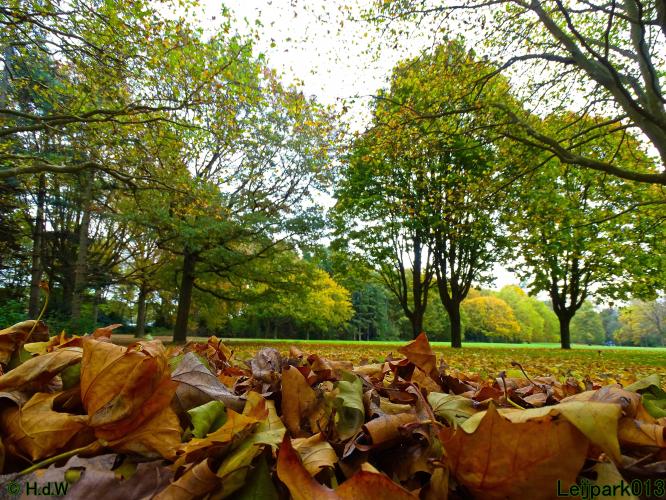 Leijpark013 31 oktober &amp; 1 &amp; 2 november 2022