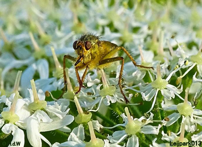 Leijpark013 3 &amp; 4 &amp; 5 &amp; 6 November 2022 