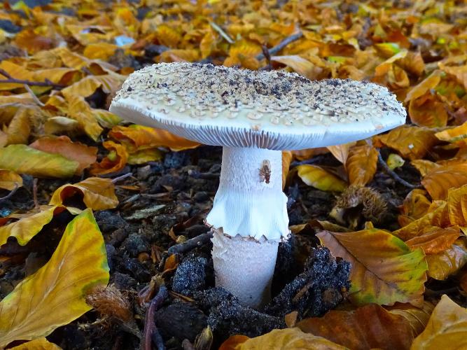 Leijpark013 3 &amp; 4 &amp; 5 &amp; 6 November 2022 