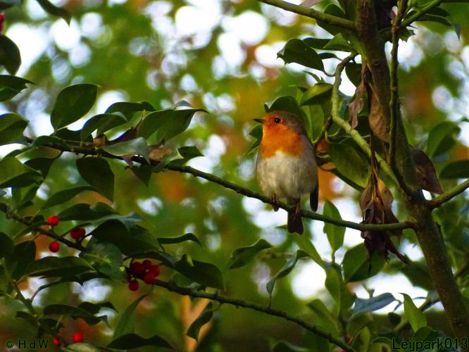 Leijpark013 3 &amp; 4 &amp; 5 &amp; 6 November 2022 