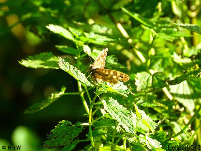 Leijpark013 3 &amp; 4 &amp; 5 &amp; 6 November 2022 