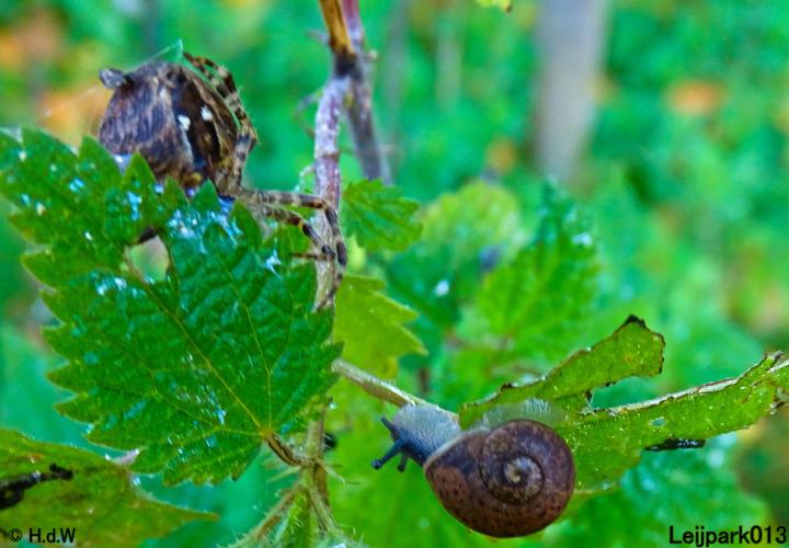 Leijpark013 3 &amp; 4 &amp; 5 &amp; 6 November 2022 