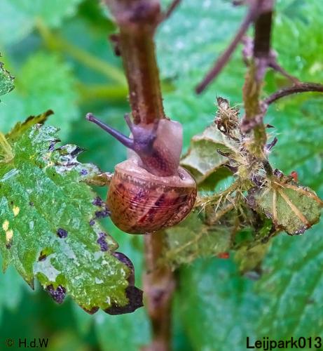 Leijpark013 3 &amp; 4 &amp; 5 &amp; 6 November 2022 