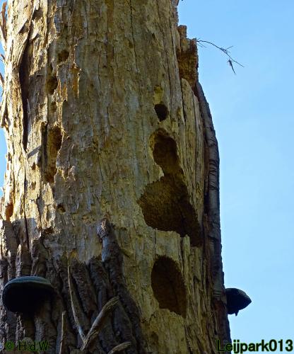 Leijpark013 3 &amp; 4 &amp; 5 &amp; 6 November 2022 