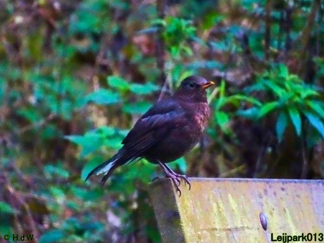 Leijpark013 3 &amp; 4 &amp; 5 &amp; 6 November 2022 