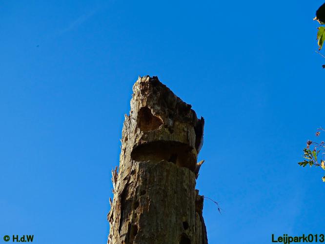 Leijpark013 3 &amp; 4 &amp; 5 &amp; 6 November 2022 